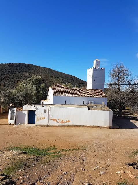 plus ancienne mosquée d'Algérie